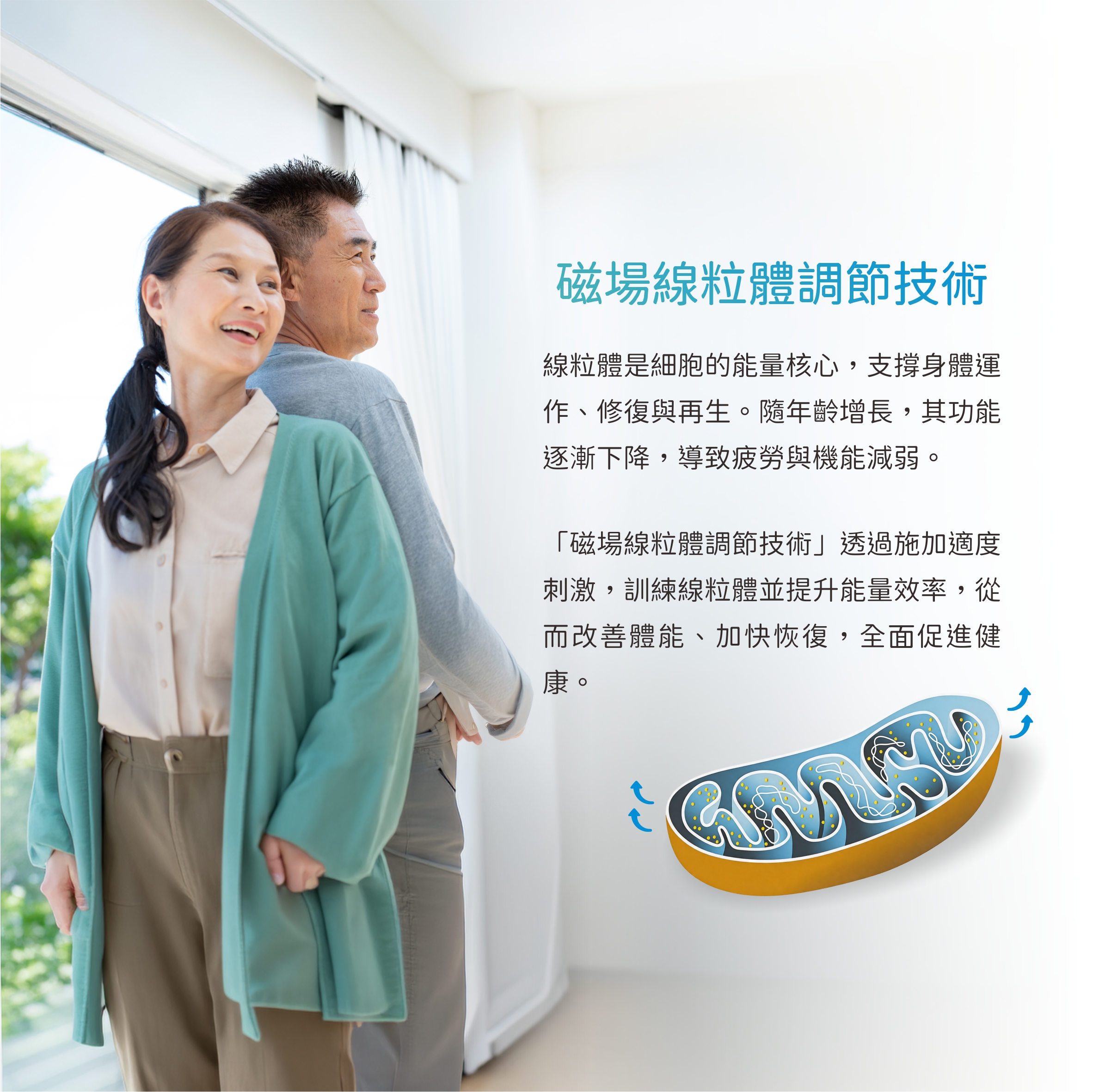 增肌保健方案