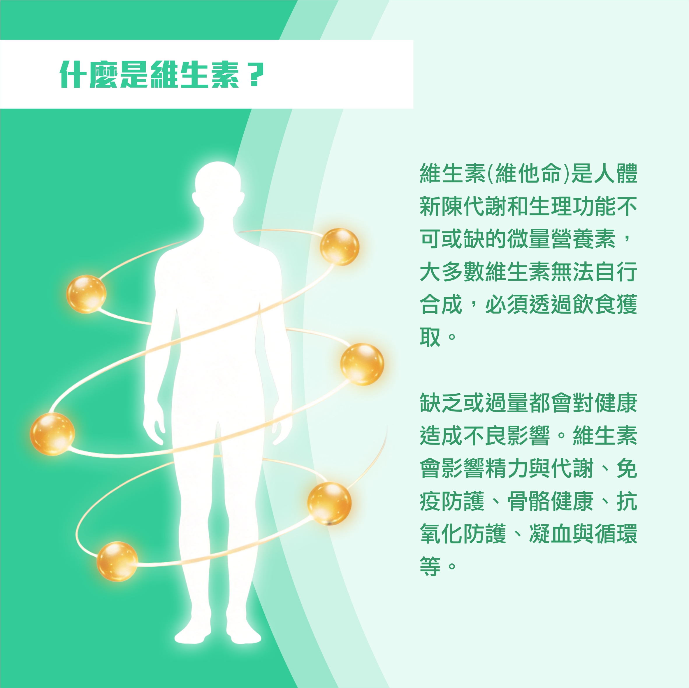 全面維生素檢測
