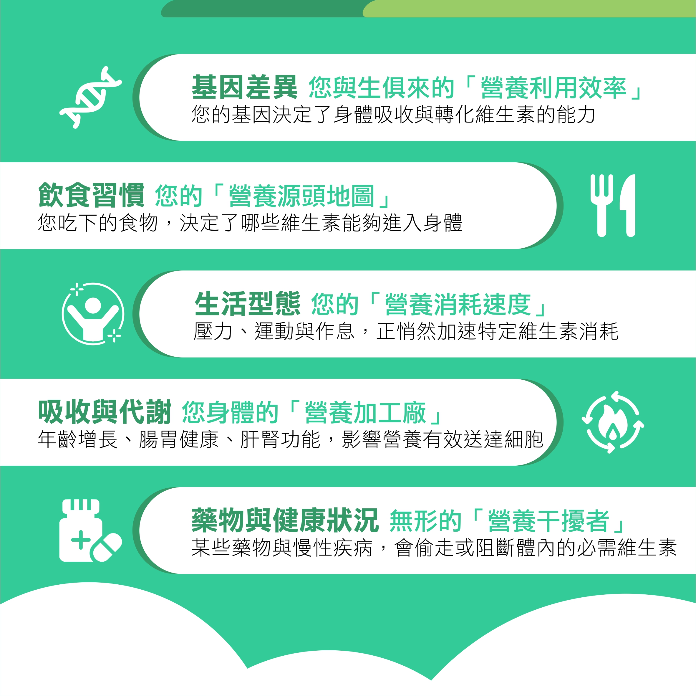 全面維生素檢測